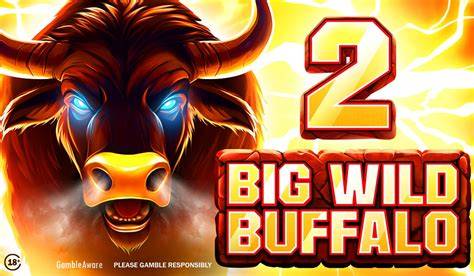 Big Wild Buffalo - Belatra