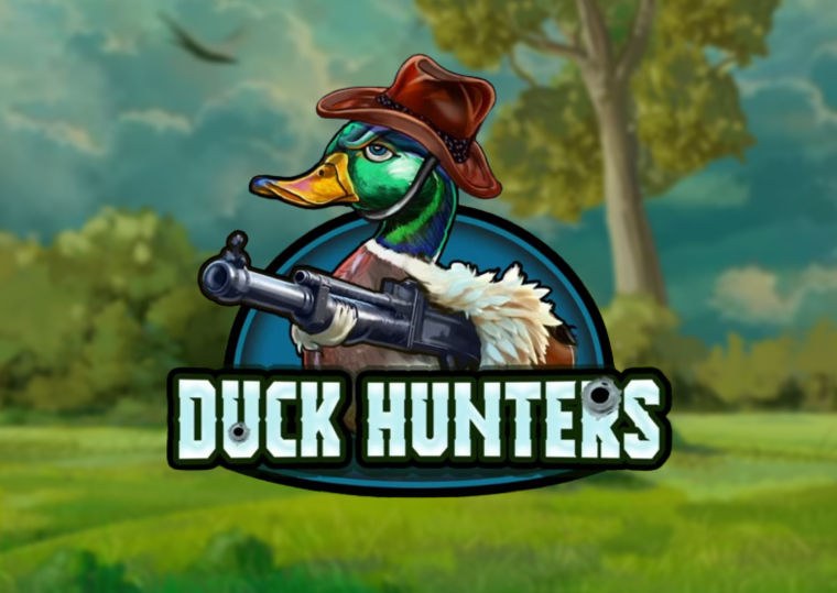 Duck Hunters demo